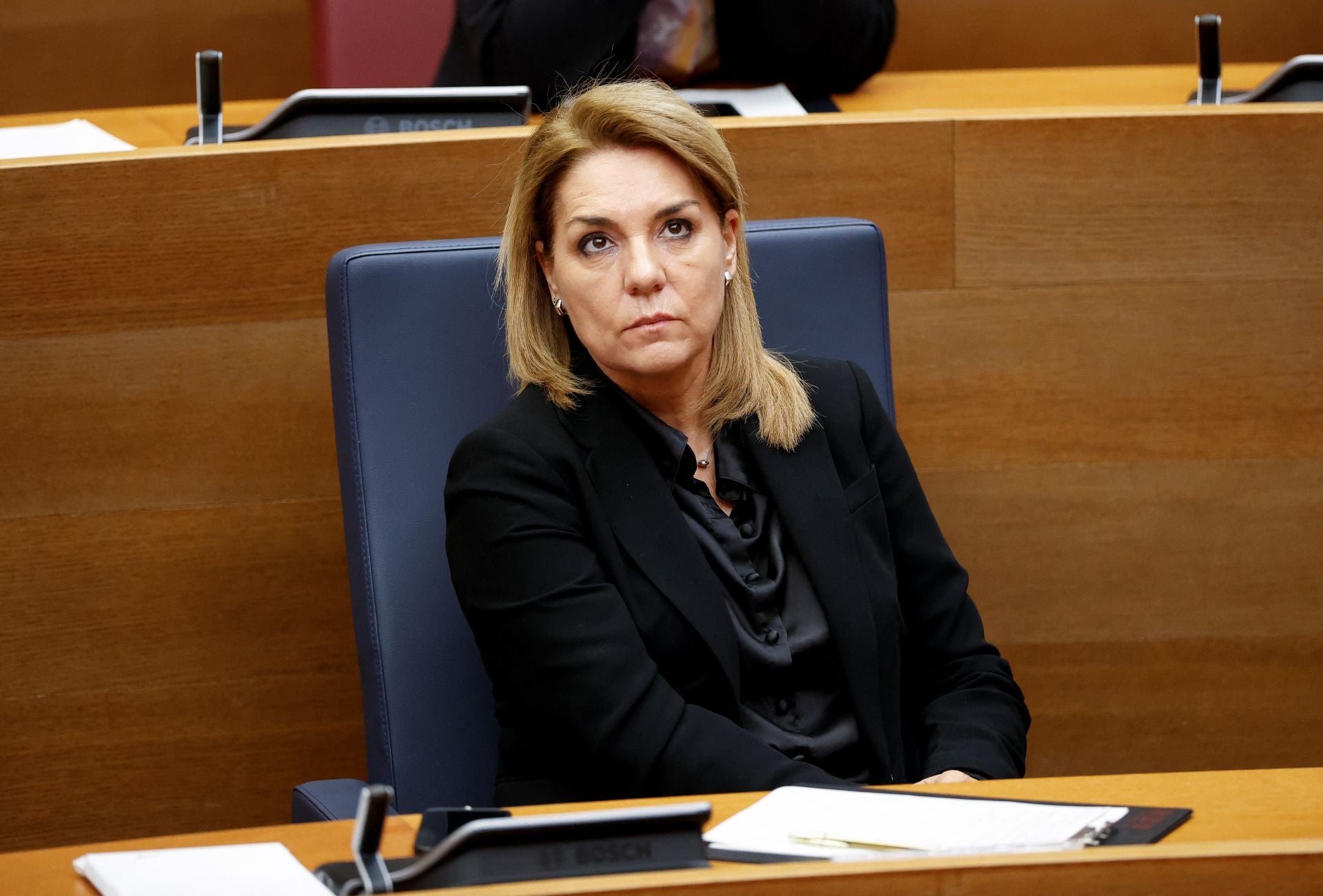 La vicepresidenta y consellera de Servicios Sociales, Igualdad y Vivienda, Susana Camarero.