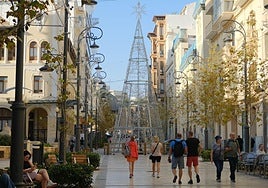 Árbol de Navidad gigante en la avenida de la Constitución.