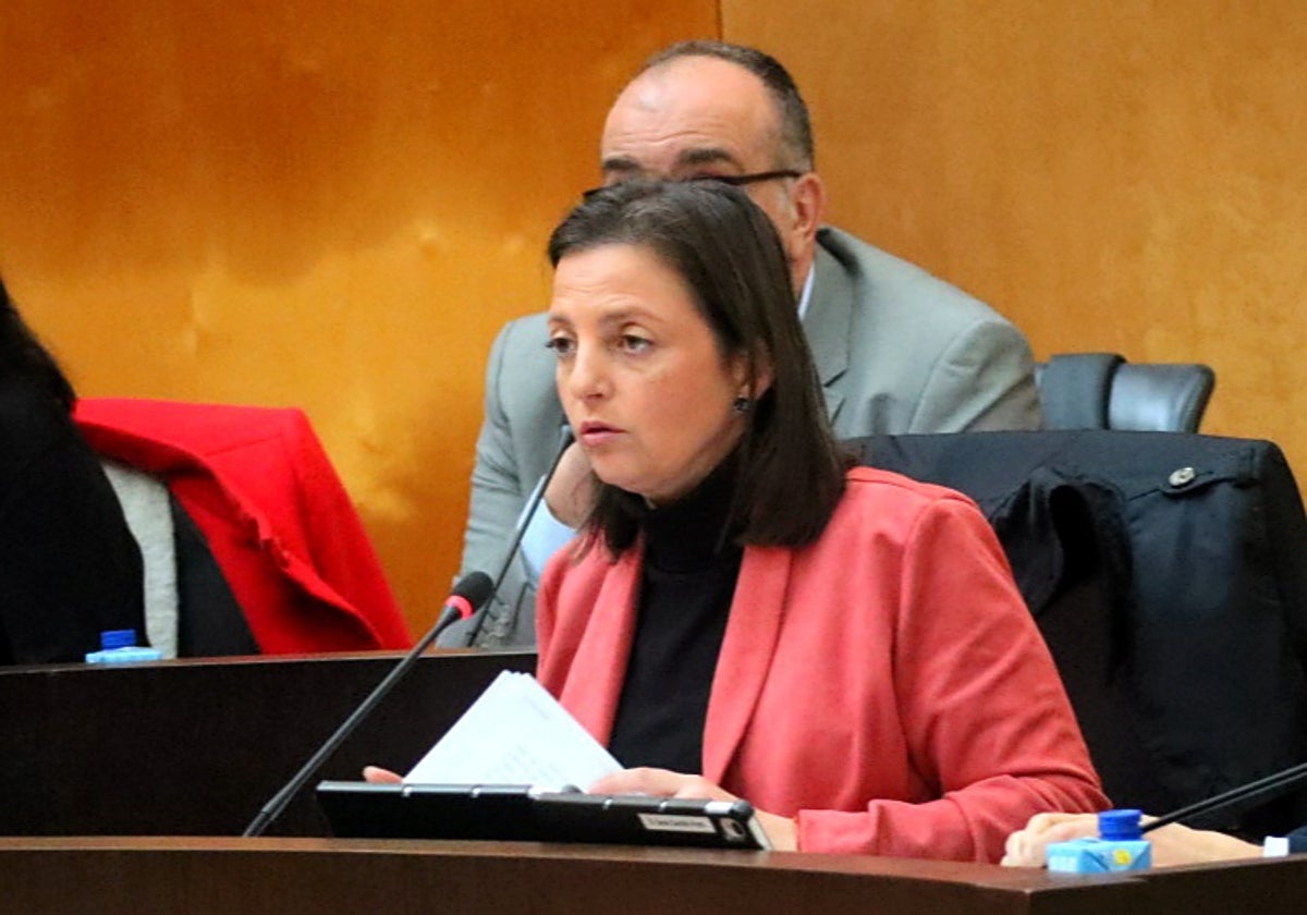 La portavoz socialista en Benidorm, Cristina Escoda