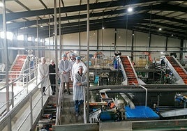 Instalaciones de Agrícola Villena