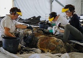 Trabajos en el Delta 1 de Cádiz.