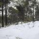 Imagen principal - LEE AQUÍ: Llega la nieve a las montañas de Alicante