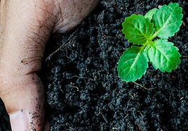 Soilguard ofrece soluciones prácticas frente a la degradación del suelo.