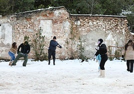 Los alicantinos disfrutan de un día en la nieve