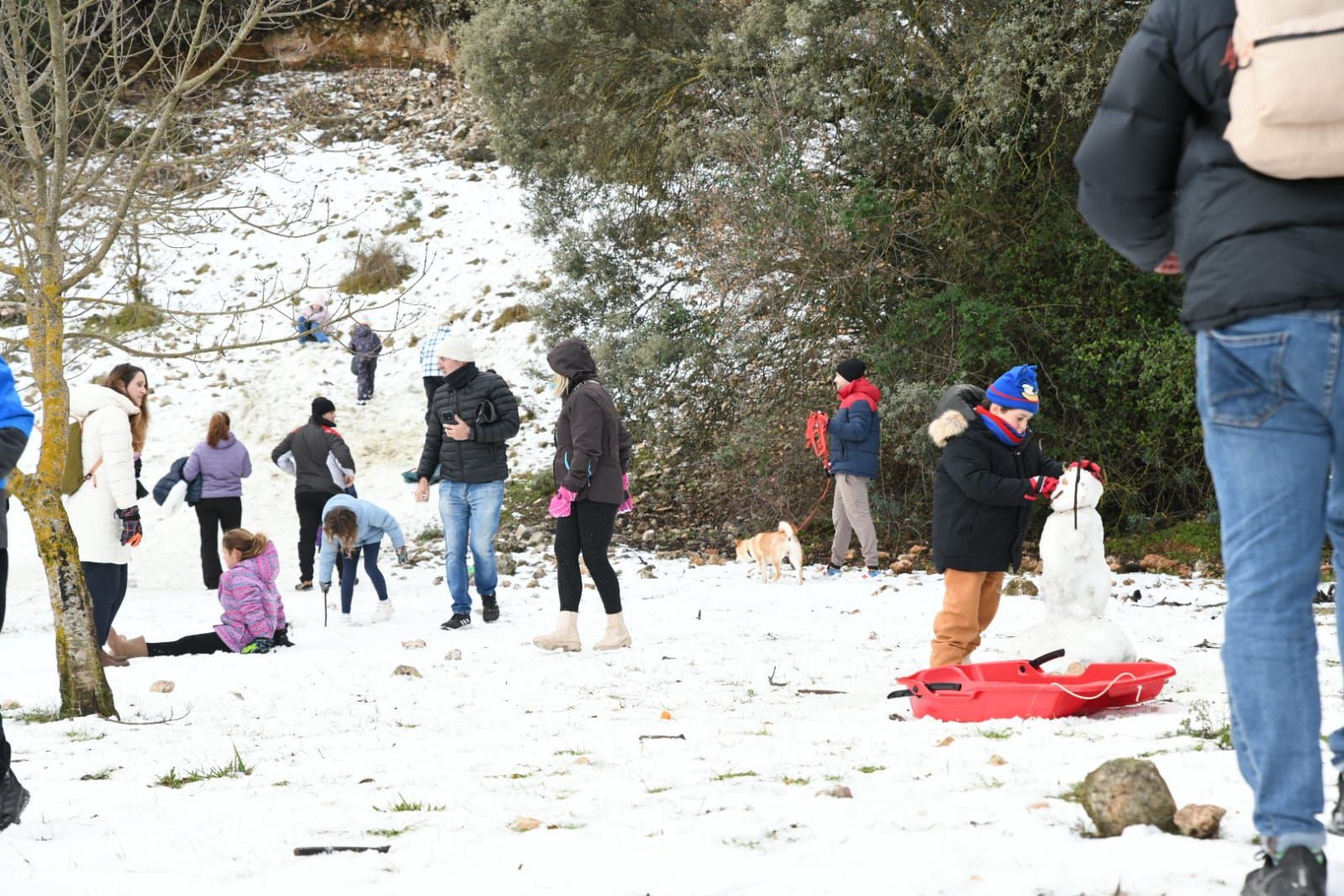 Las mejores imágenes que deja la nieve en la provincia