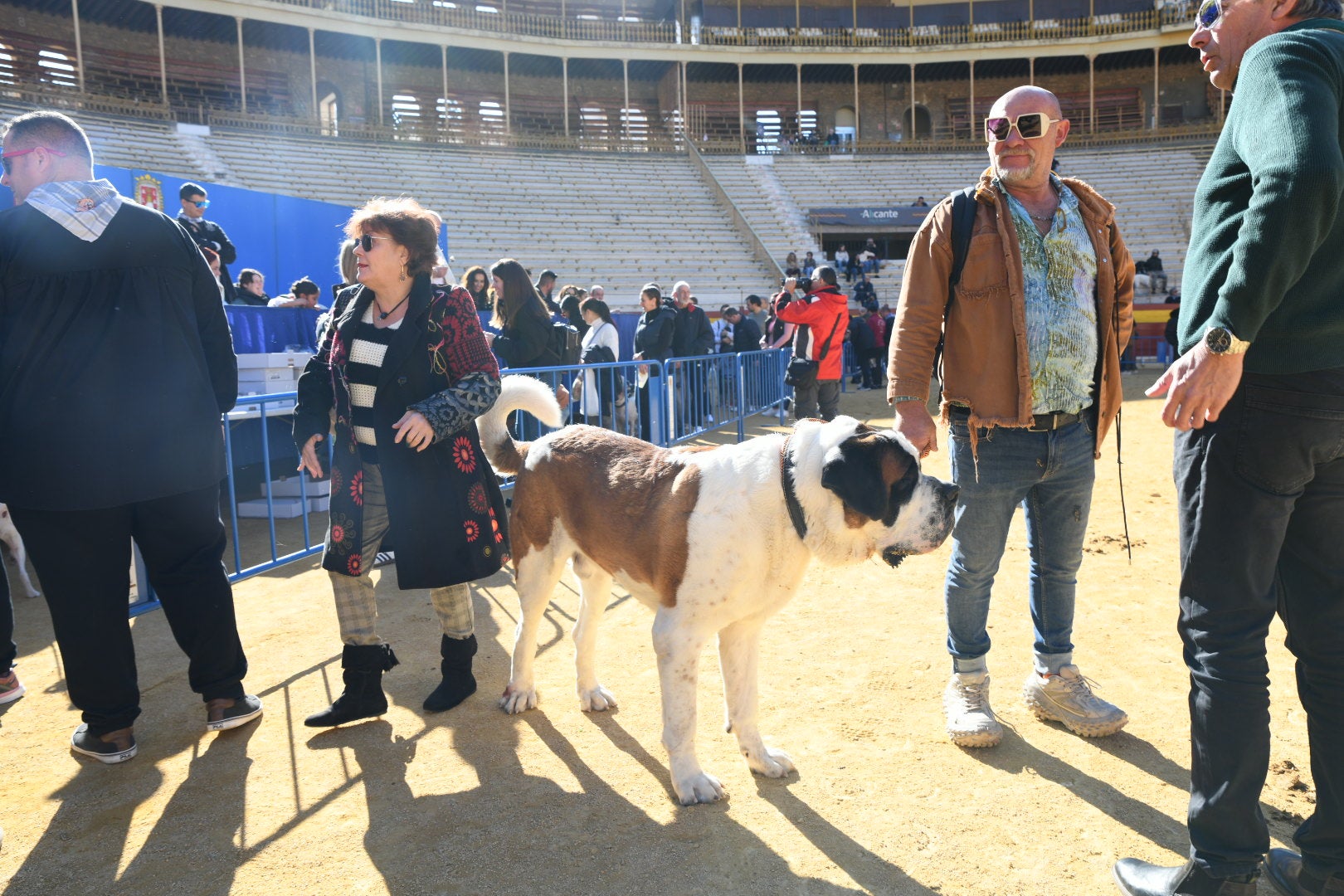 Bendición de animales en Alicante por San Antón, busca las fotos de tu mascota