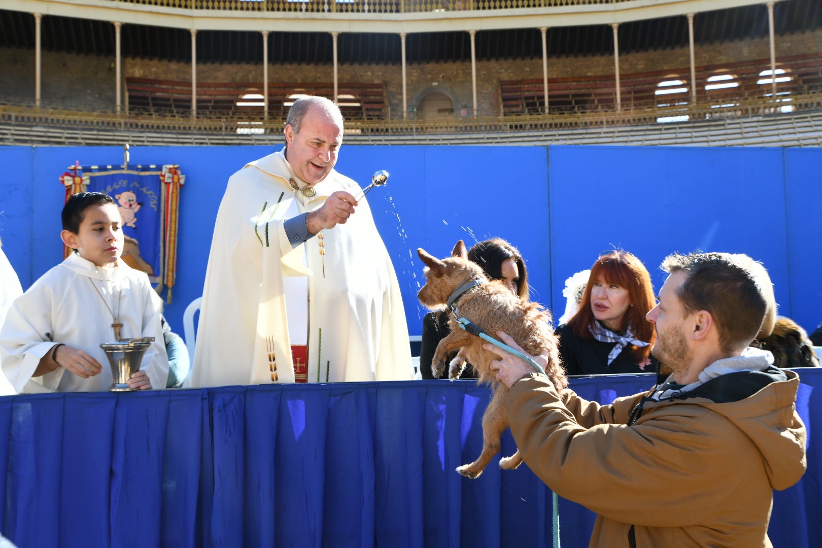 Bendición de animales en Alicante por San Antón, busca las fotos de tu mascota