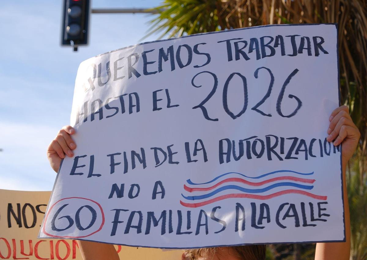 Imagen secundaria 1 - Manifestación y carteles.