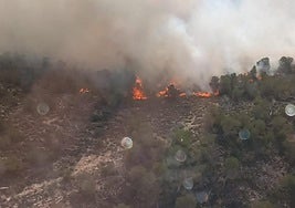 Vista del incendio forestal que afecta a Algueña.