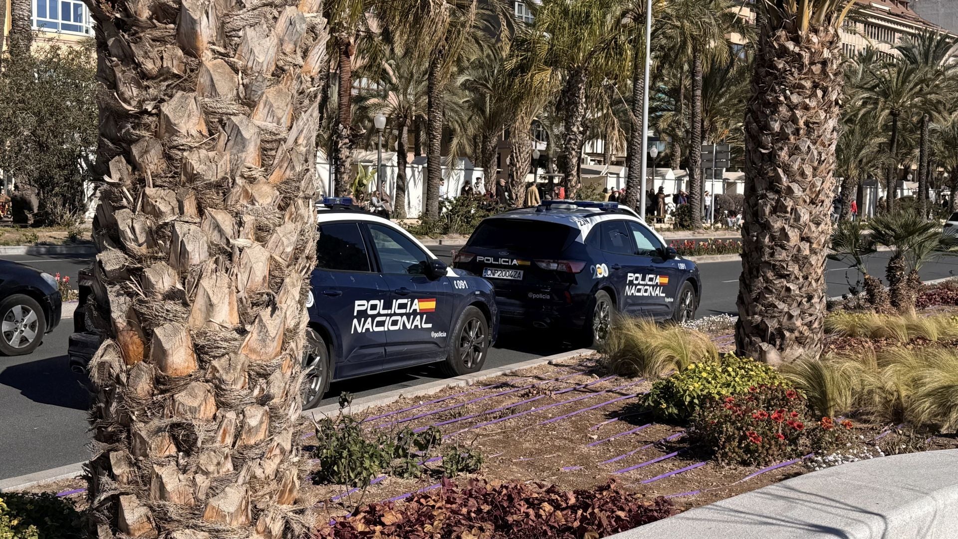 Dispositivo especial por el hallazgo de un cadáver en el puerto de Alicante