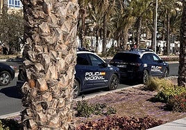 Dos patrullas estacionadas al lado del puerto de Alicante, donde han hallado dos cadávares en apenas 24 horas.