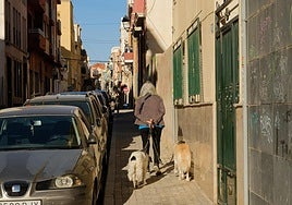 Una vecina de Alicante pasea con sus perros.