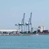 El Ayuntamiento de Alicante lleva el caso de los macrodepósitos del puerto al Tribunal Constitucional