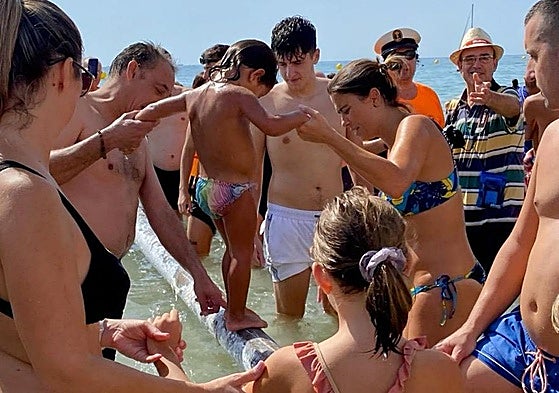 Cucalas en el Postiguet.