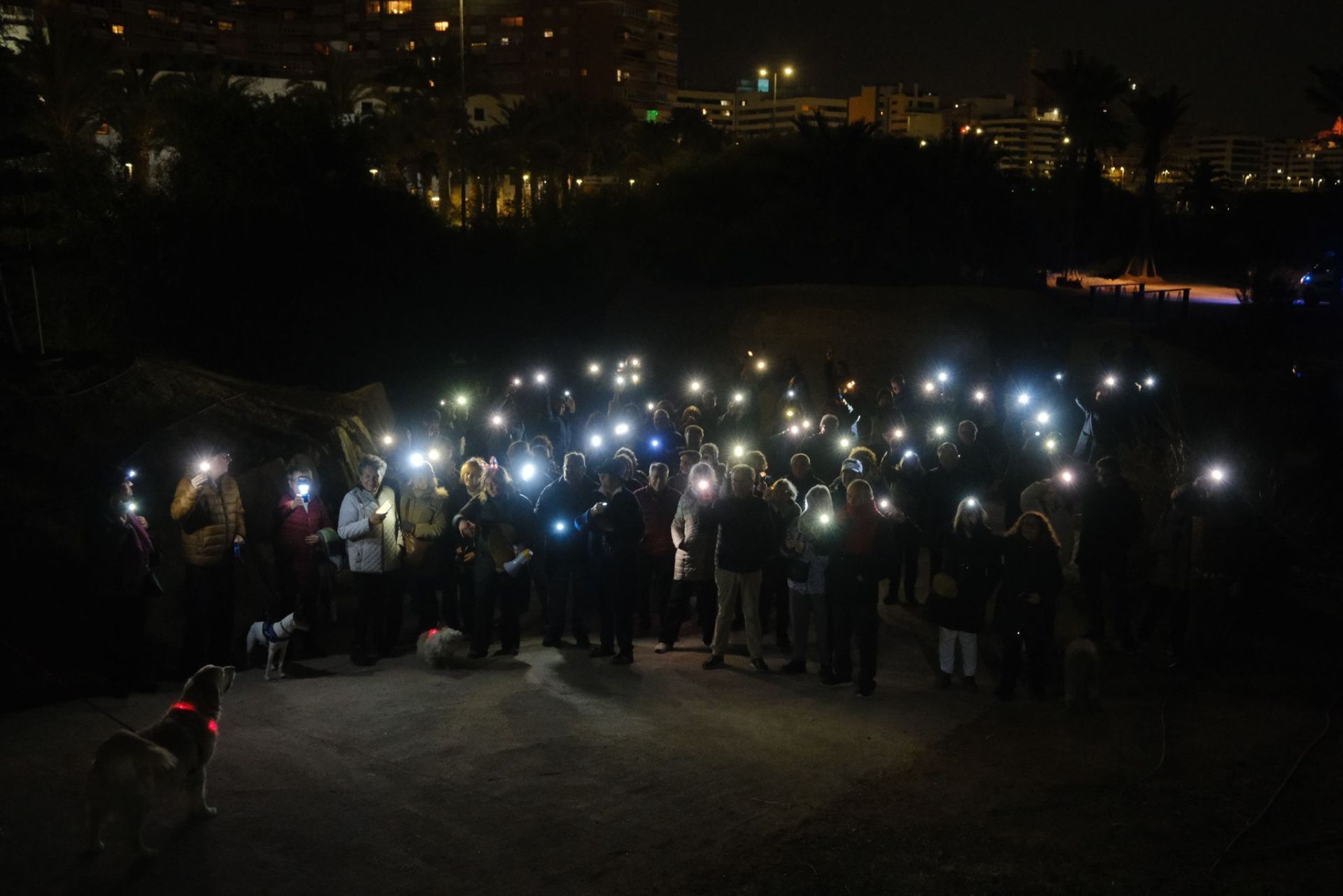 Imagen principal - Las 'luciérnagas' de Alicante marchan para pedir iluminar el Parque del Mar