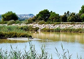 Desembocadura del Segura en Guardamar.