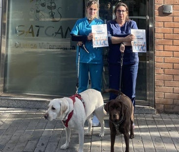 Veterinarians in Alicante Stand Firm: "We Raise Our Voices to Defend Animals"