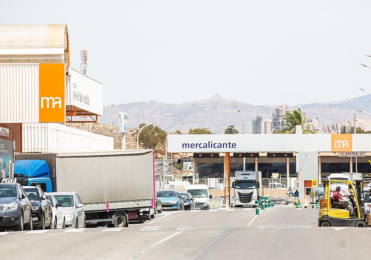 Imagen de Mercalicante.