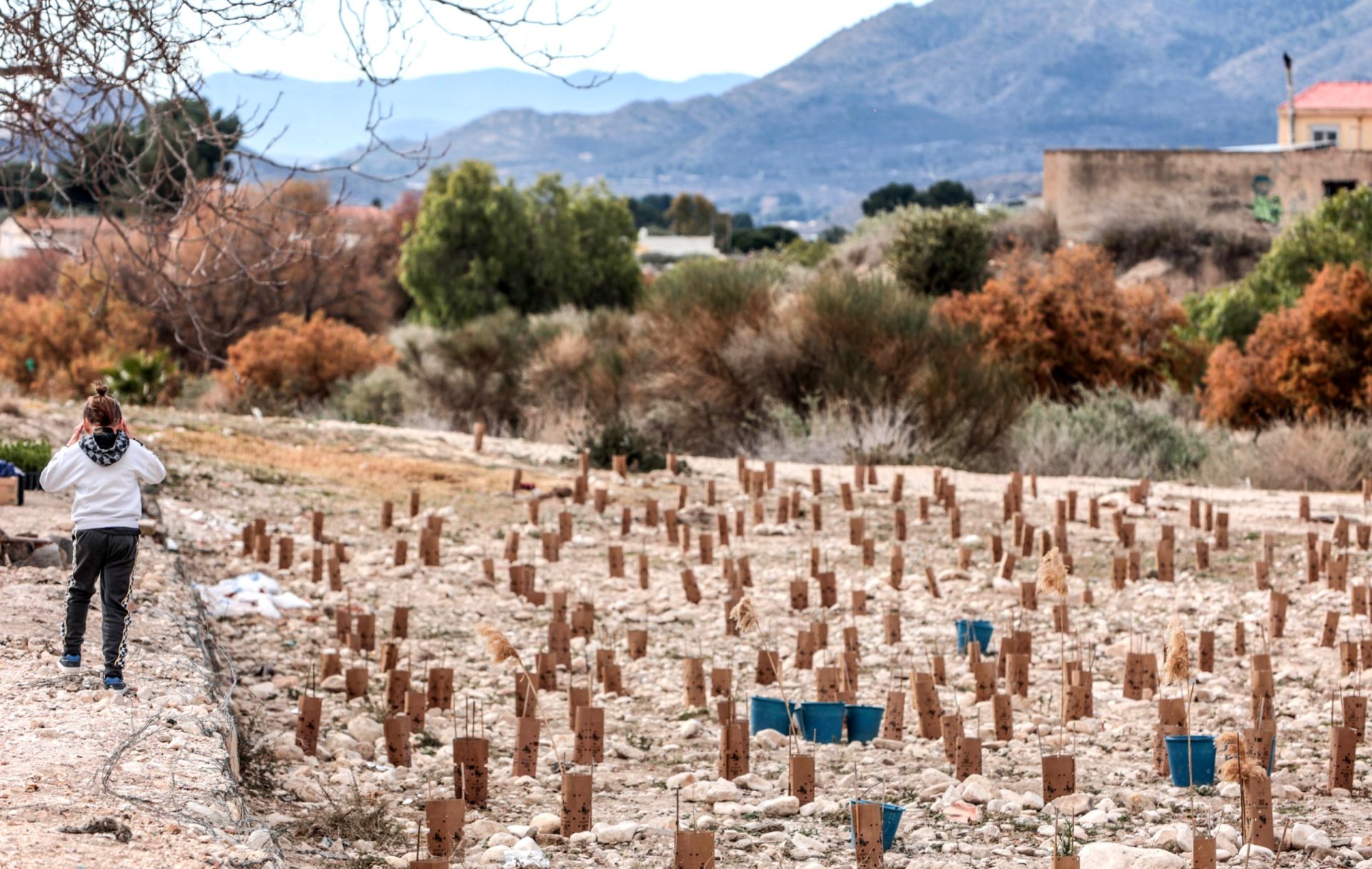 Semana de la reforestación de Elda.