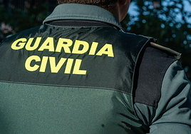 La Junta Local de Seguridad del municipio alicantino afectado.