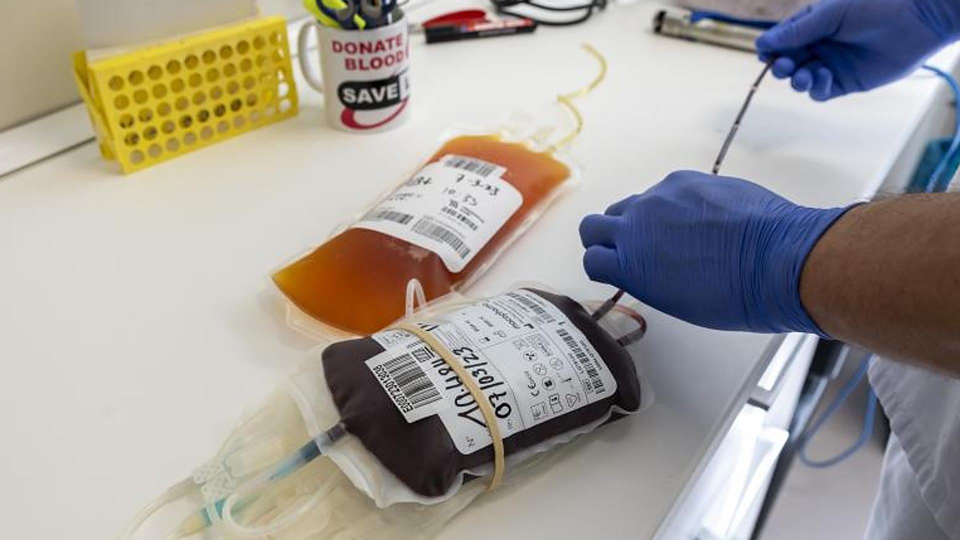 Blood Alicanteを寄付|アリカンテの血液と母乳の寄付者の数が増加します