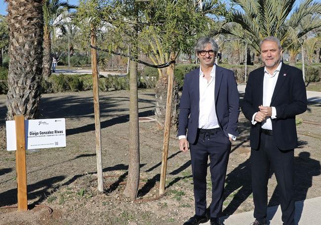 El doctor González Rivas junto al rector de la UMH y el ejemplar de árbol que llevará su nombre.