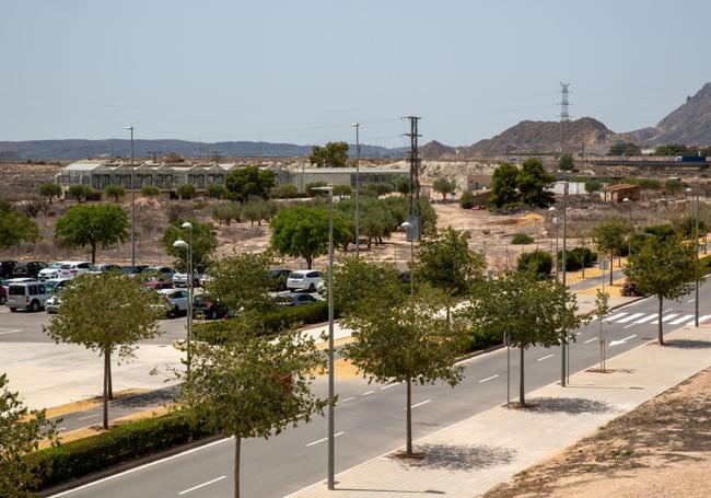 Terrenos del campus oeste de la UA.