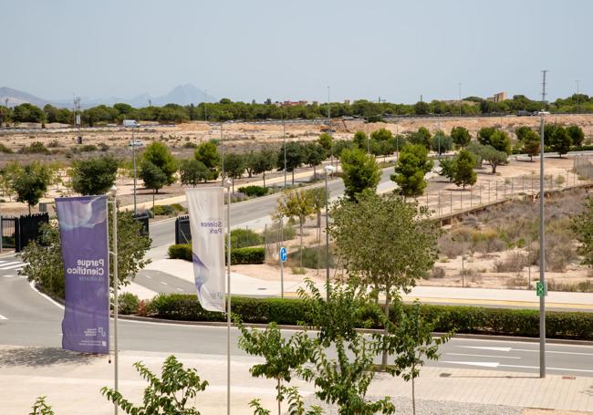 Terrenos del campus oeste de la UA.