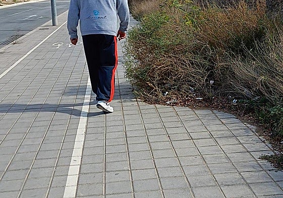 Un peatón evita a los matorrales que invaden la calle del Pau 2.