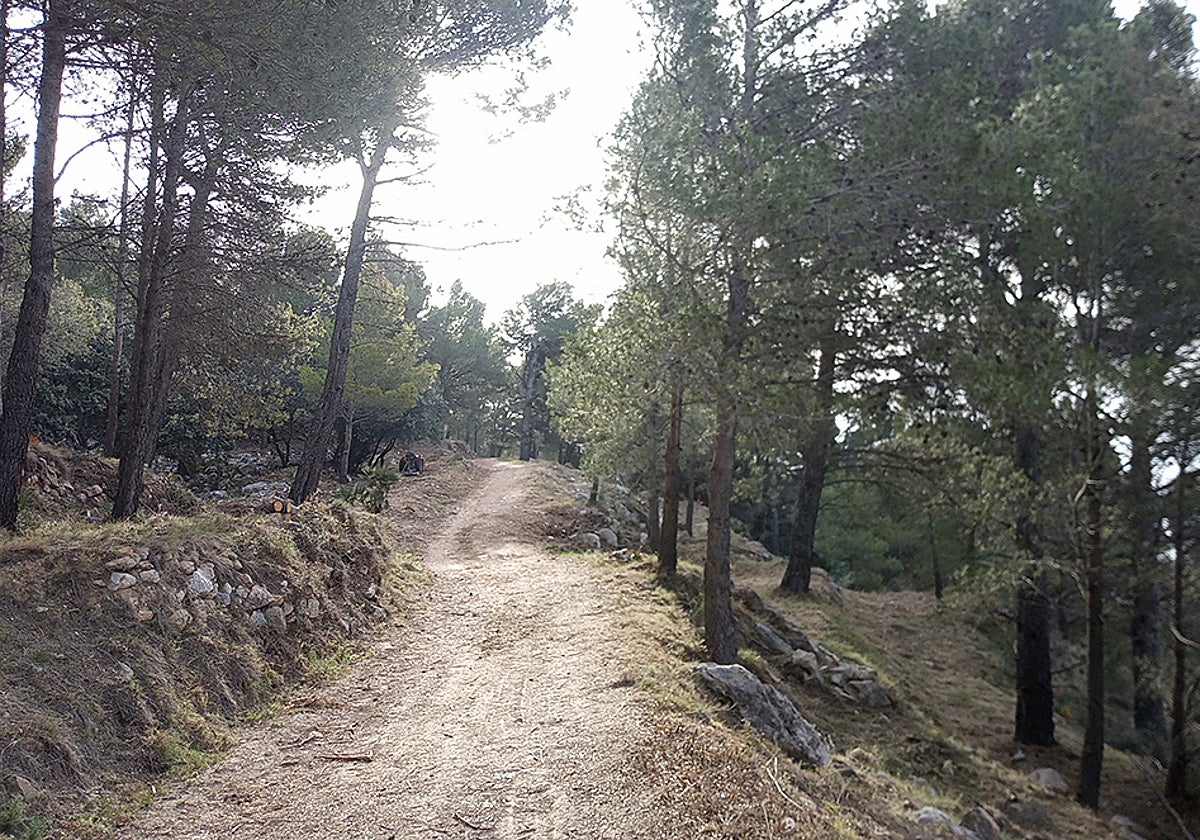 Imagen de una de las zonas en las que se han realizado labores preventivas