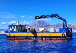 Trabajos de retirada de desechos en el litoral del Parque Natural de Serra Gelada.