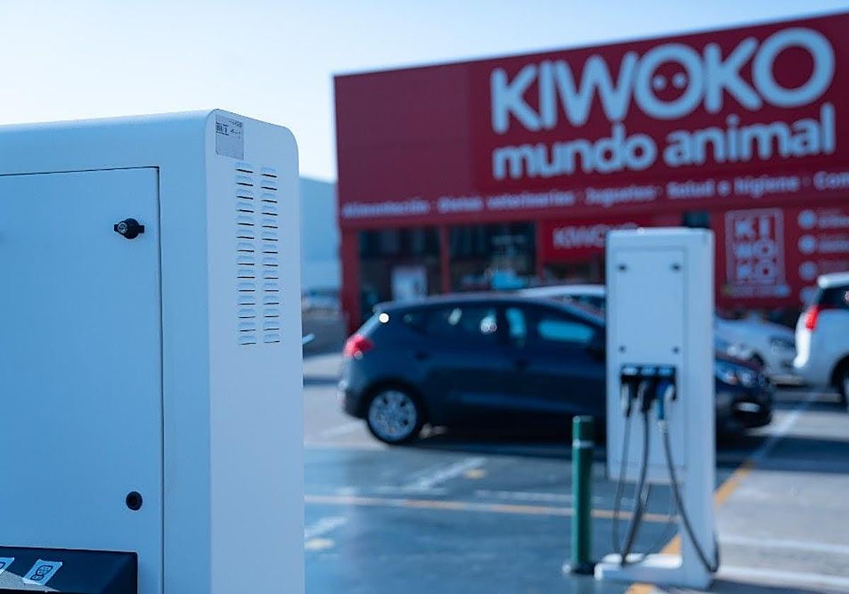 Cargadores en el Centro Comercial Portal de la Marina.