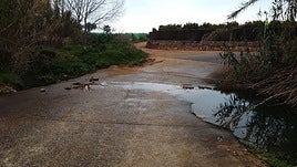 Zona del Barranc de la Alberca.
