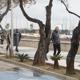 Imagen principal - Health suspends medical appointments in Dénia and Alcoi due to the storm