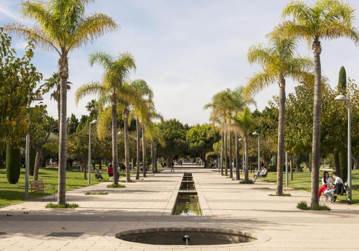Campus of the University of Alicante.