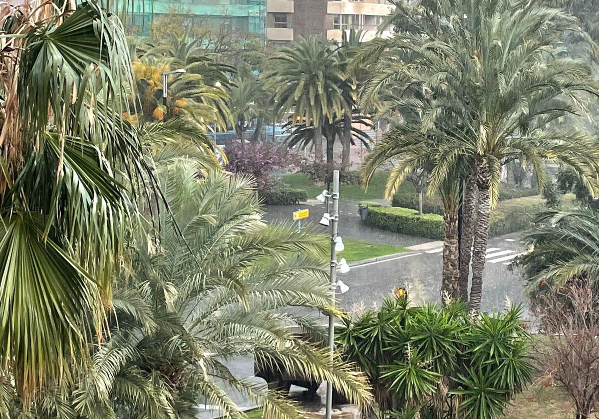 Imagen principal - A downpour hits Alicante with thunder and lightning