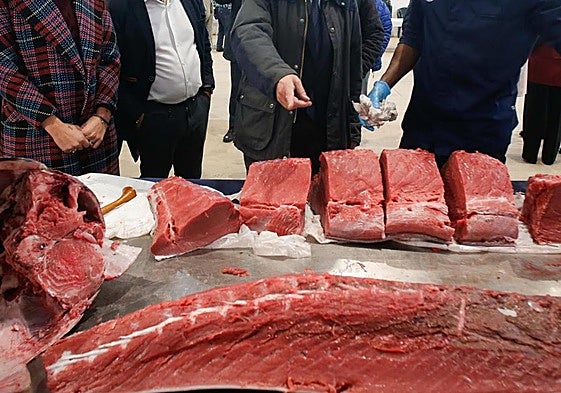 Ronqueo de un atún, despiezado en varias partes.