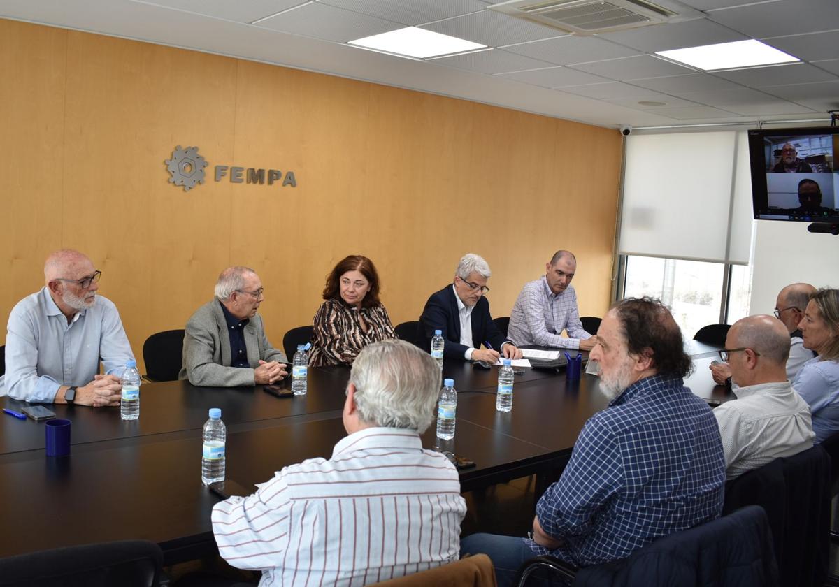 Meeting of the Fempa board of directors where the change in presidency was approved.