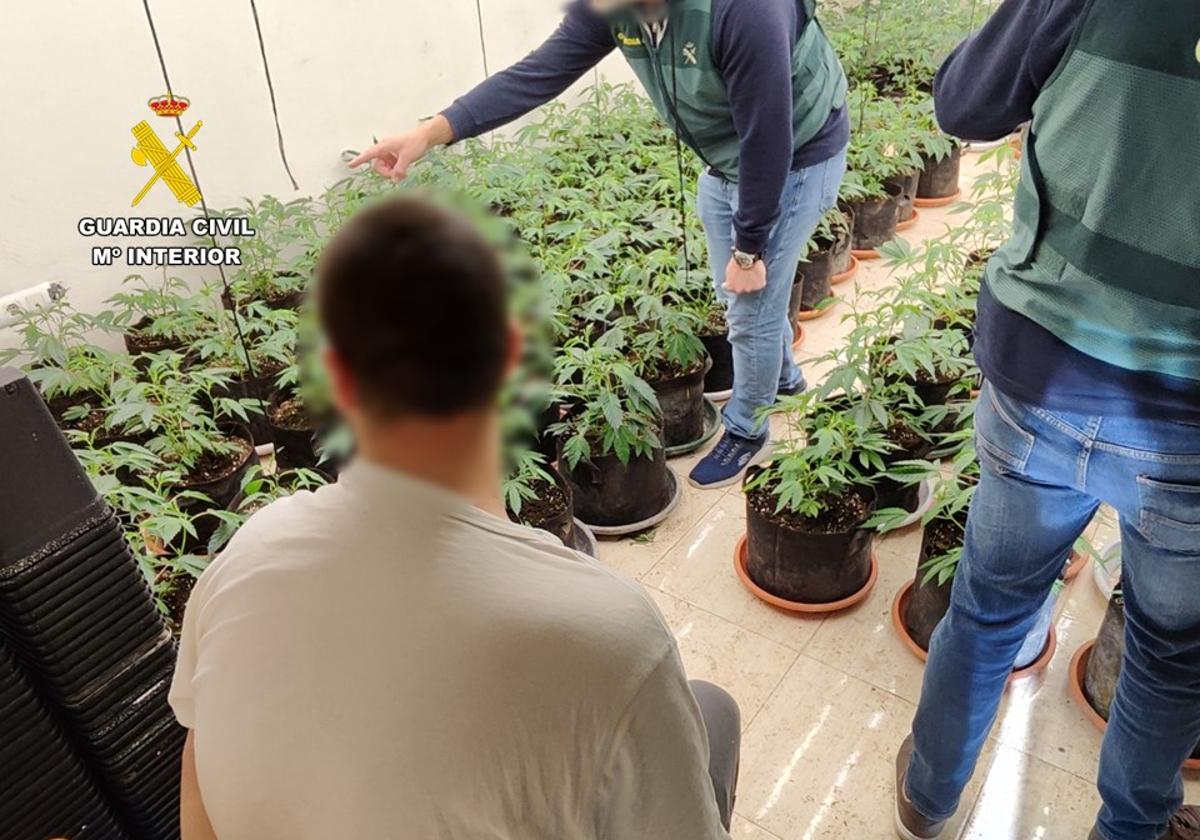 Operation Galakas: Albanian Citizen Cultivates Marijuana in Calp Villa