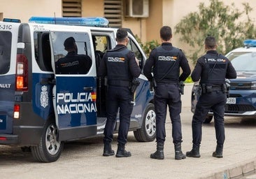 Un detenido en Alicante en una macrooperación internacional contra la pornografía infantil