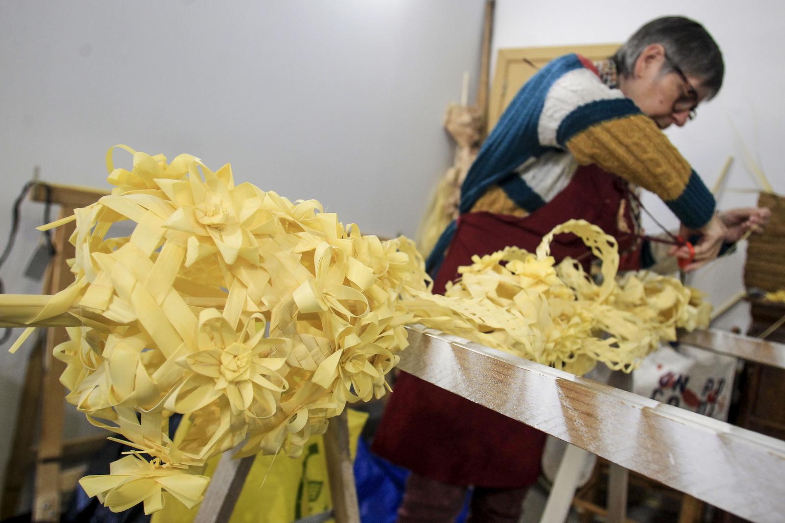 Imagen secundaria 1 - Las palmas blancas de Elche ya van camino de Zarzuela y del Vaticano para el Domingo de Ramos