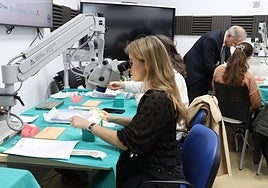 La formación está dirigida a futuros especialistas en Oftalmología.