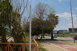 Señal de la avenida retirada al religioso agustino Ángel Escapa, ya sin la placa este lunes.