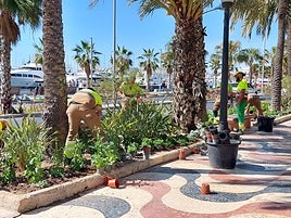 Un equipo de operarios realiza la nueva plantación.