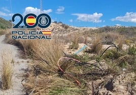 Los cables desenterrados para robarles el cobre, en el lugar de los hechos.