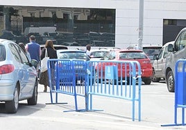 Un gorrilla entre los coches aparcados en el ADDA.