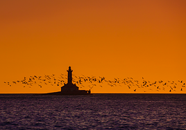 Una de las imágenes de la muestra.