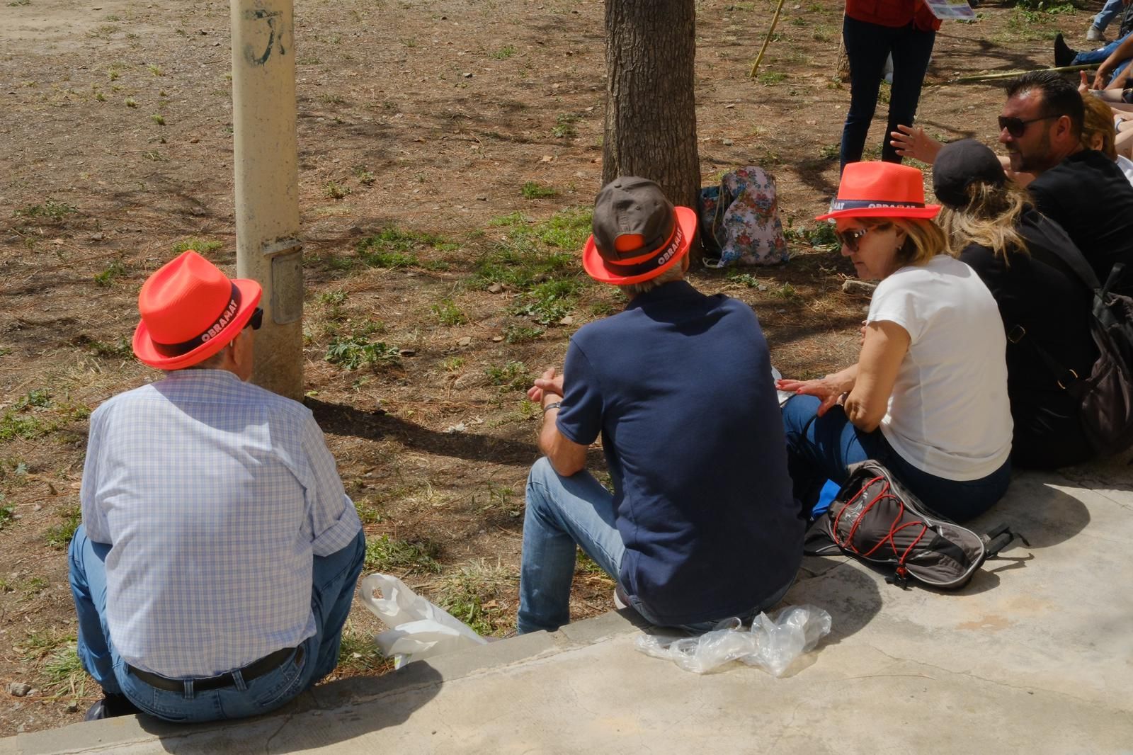 Búscate en las imágenes de la romería de la Santa Faz 2025