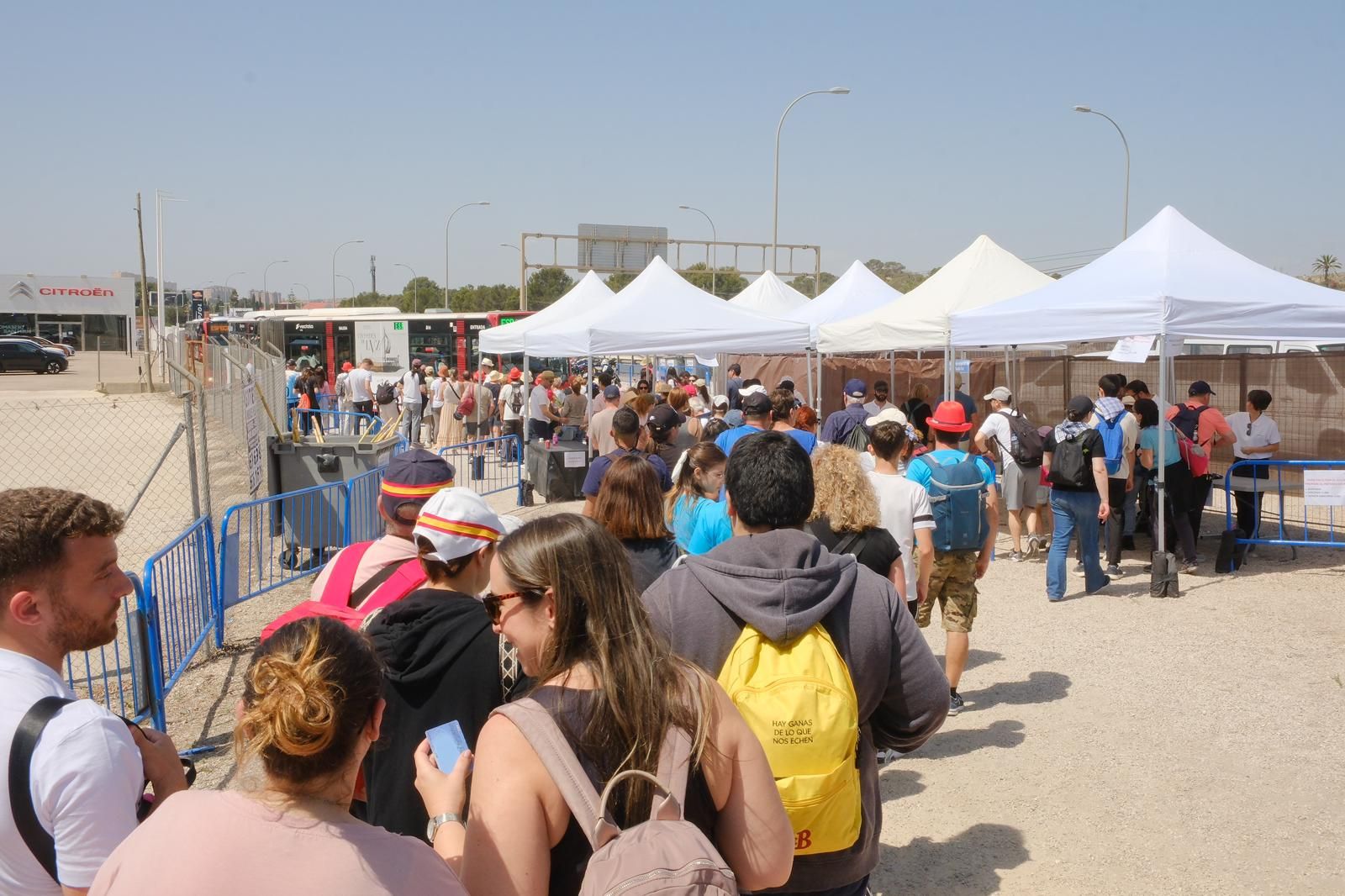 Búscate en las imágenes de la romería de la Santa Faz 2025