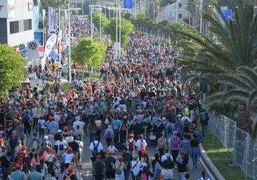 Alicante asks for divine intervention to prevent further blackouts